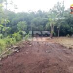 Tanah dijual di Banyuwangi Tegalsari